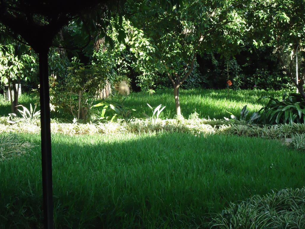 B&B Cottage Dei Consoli Sant'Agata Li Battiati Exterior photo